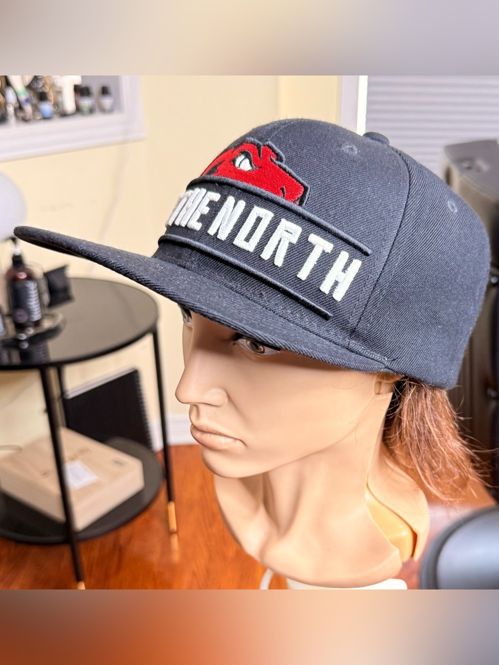 Gorgeous Rare Raptors SnapBack !!! - Picture 2 of 8